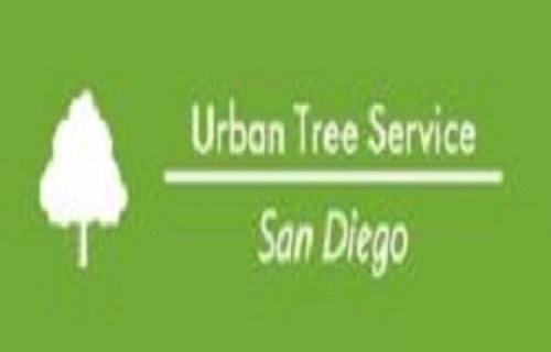 Urban Tree Service San Diego