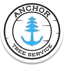 Anchor Tree Service - Victoria Arborist & Tree Service