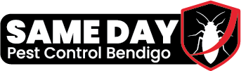 Same Day Pest Control Bendigo