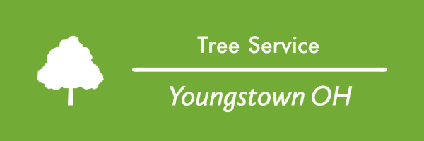 Tree Service Youngstown OH