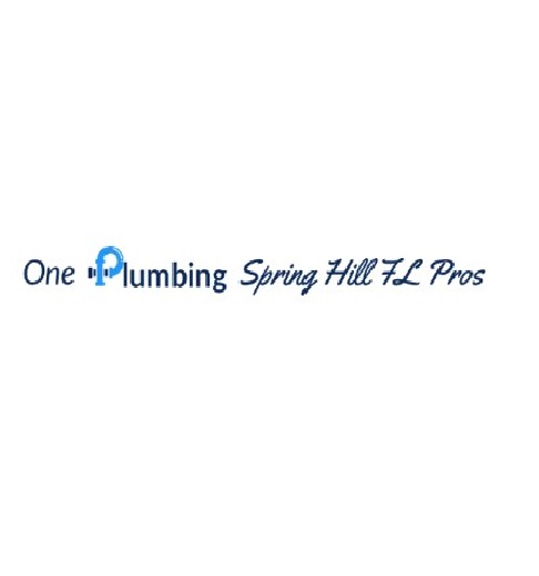 One Plumbing Spring Hill FL Pros