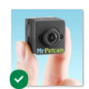 Mr Petcam