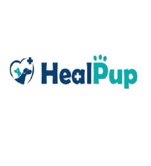 At Healpup, we offer knee braces, support harnesses, and wheelchairs for dogs