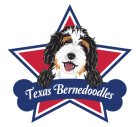 Tx Bernedoodles