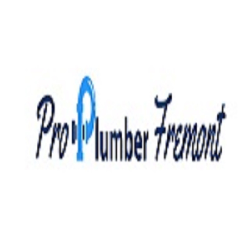 Pro Plumber Fremont