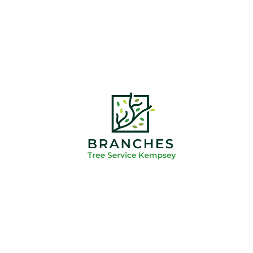 Branches Tree Service Kempsey