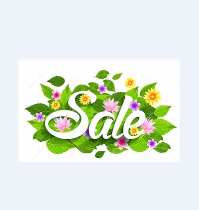 Flower Sale Shop 