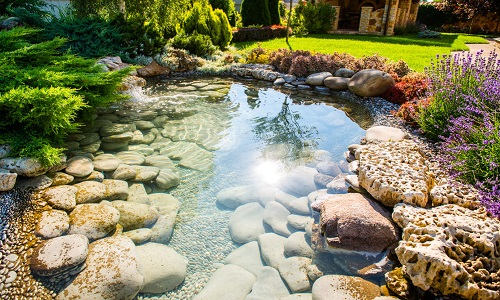 Long Beach Landscape Design