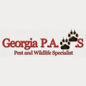 Georgia P.A.W.S.