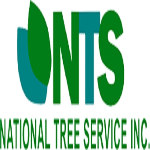 National Tree Service