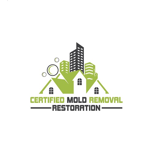 Certified Mold Removal