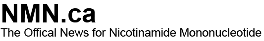 NMN Supplement