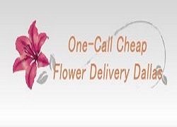 Same Day Flower Delivery Dallas TX - Send Flowers