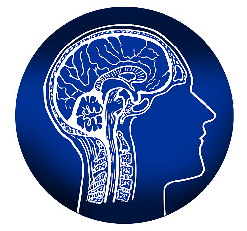 Venice Acupuncture & Functional Neurology