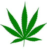 420authcvapes.com