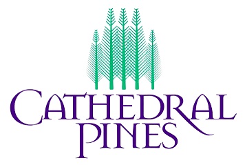 The Lodge at Cathedral Pines