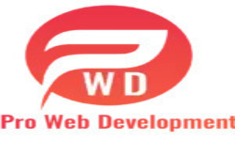 pro web development
