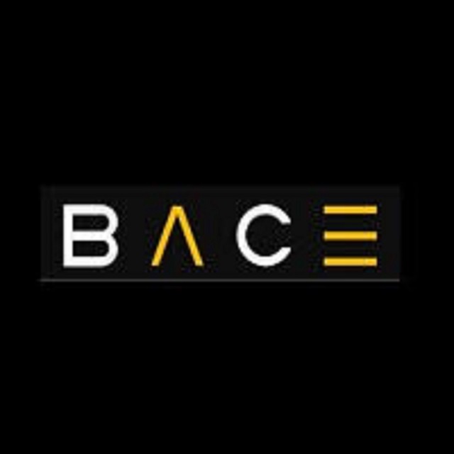 BACE Project Management