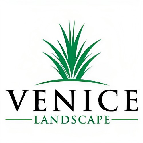 Venice Pavers and Landscape