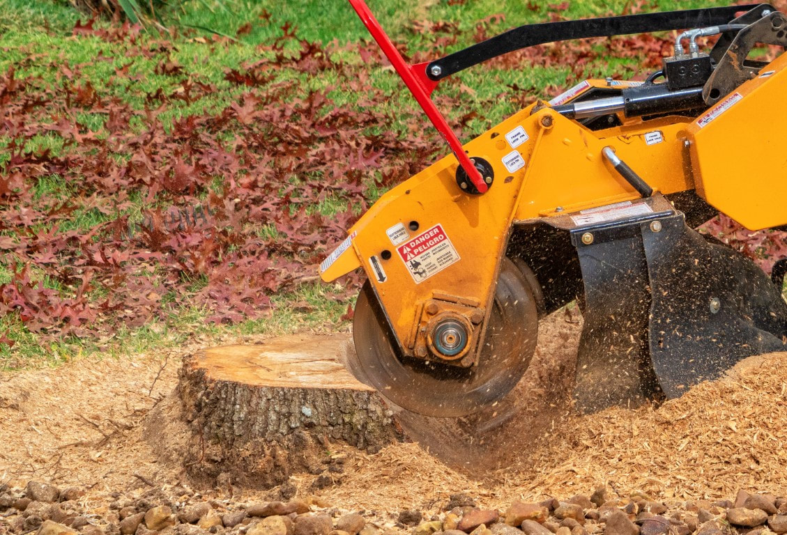 Clarksville Pro Tree Service	