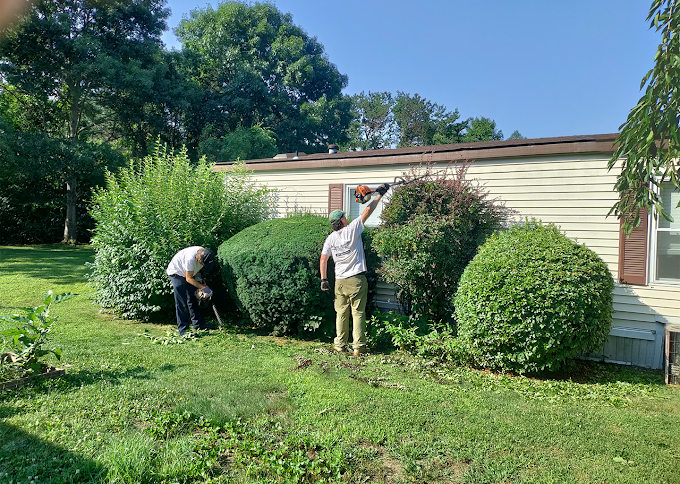 Doug Greenwood Landscaping Co.