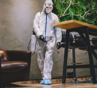 PestControlNelson.co.nz