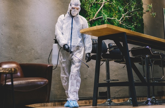 PestControlHawkesBay.co.nz