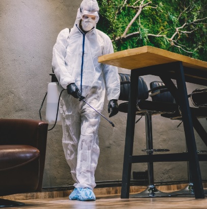 PestControlWanaka.co.nz