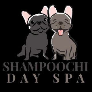 Shampoochi Day Spa