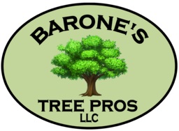 Barones Tree Pros LLC