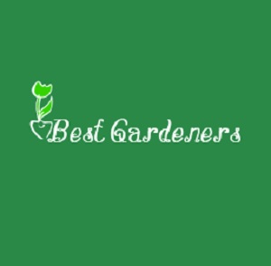 Best Gardeners Bristol