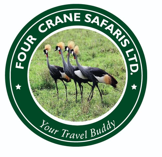 Four Crane Uganda Safari
