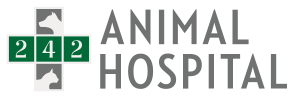 242 Animal Hospital