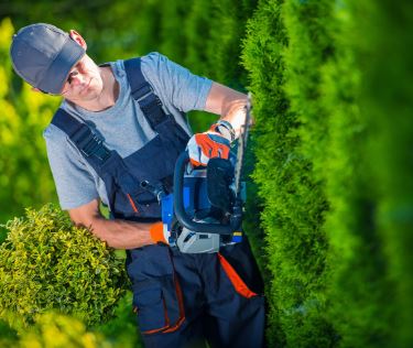 ArboristsBrisbane.com.au