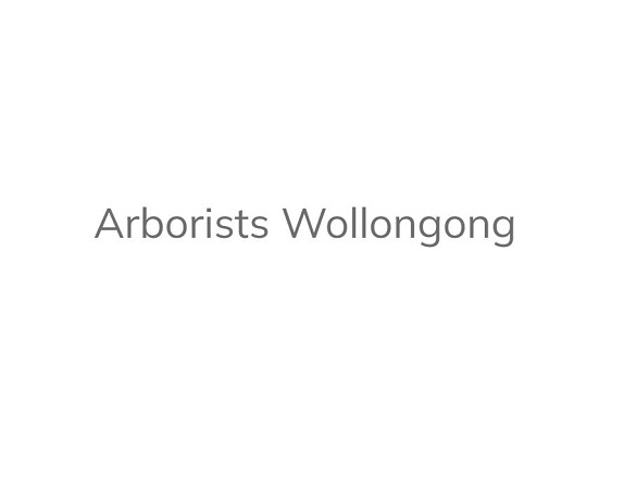 ArboristWollongong.com.au
