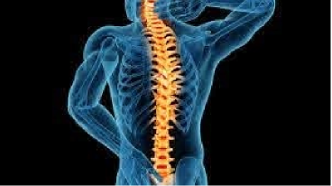 Sushrut Brain and Spine 