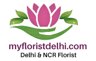 myfloristdelhi