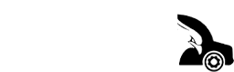 Shawn's Moving