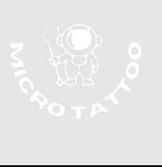 Micro Tattoo Studio