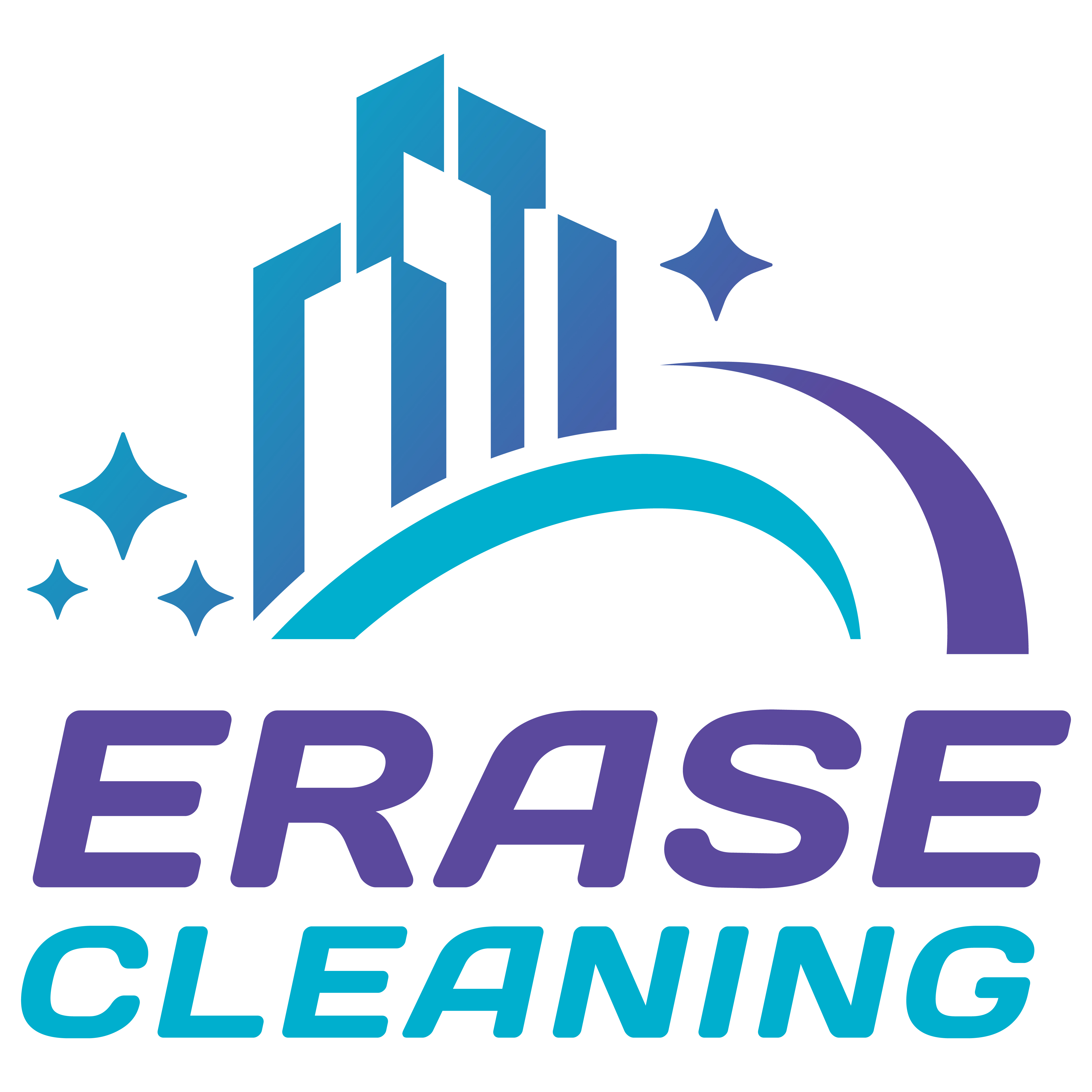 Erase Cleaning