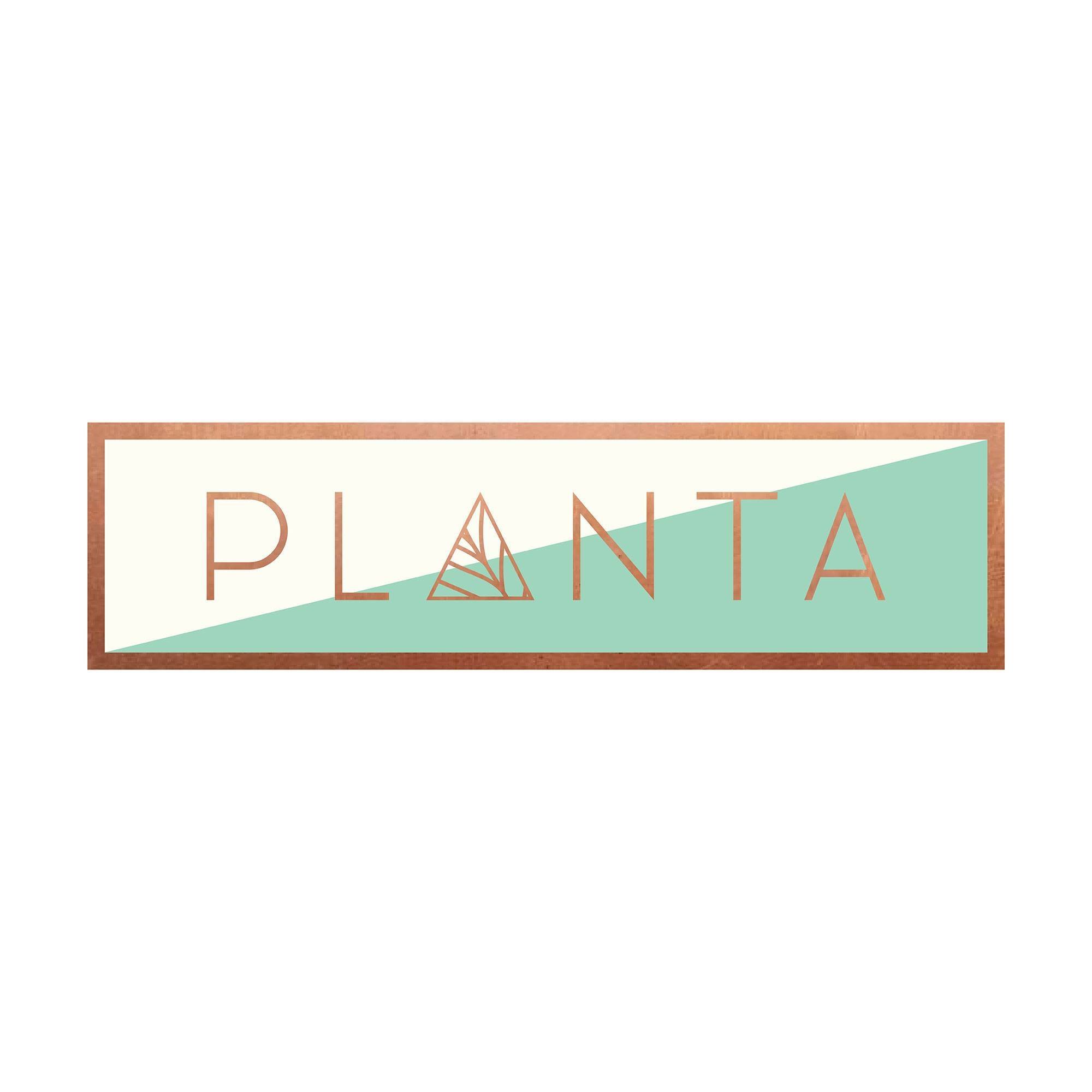 Planta South Beach