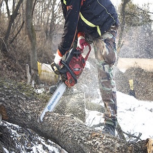 Ladue Tree Service