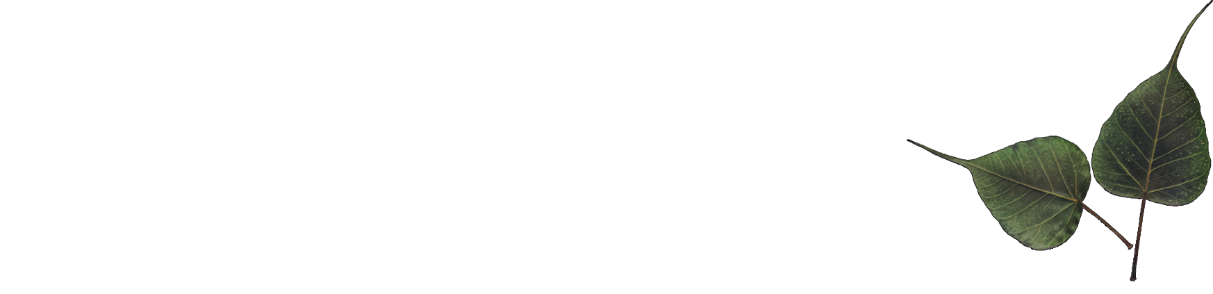 CMTC Architect Inc.