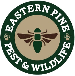 Eastern Pine Pest Control