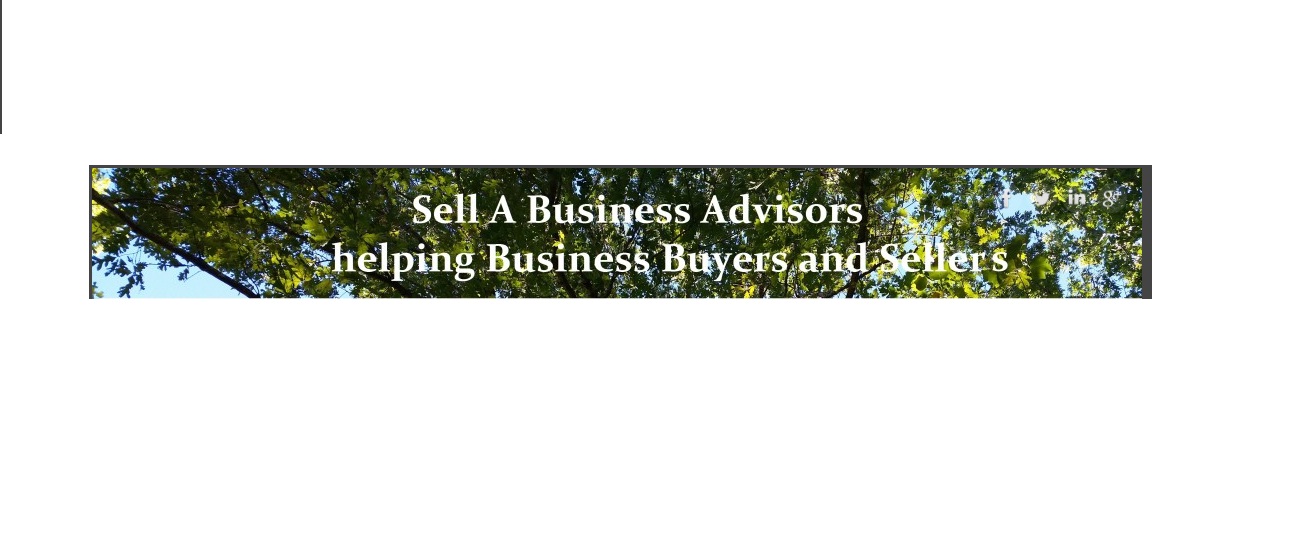 sellbusinessadvisors01