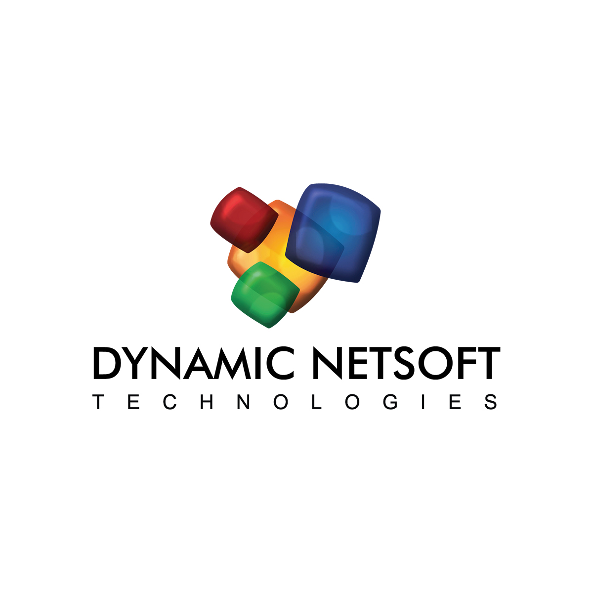 Dynamic Netsoft Technologies Private Limited