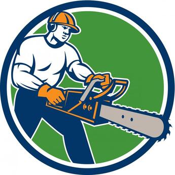 Elgin Tree Service And Snow Plowing