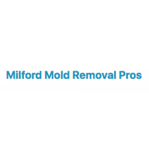 Milford Mold Removal Pros