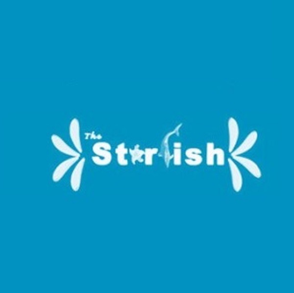 Starfish Marathon Snorkeling - Marathon FL