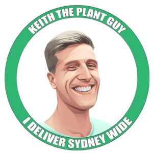 Keith The Plant Guy